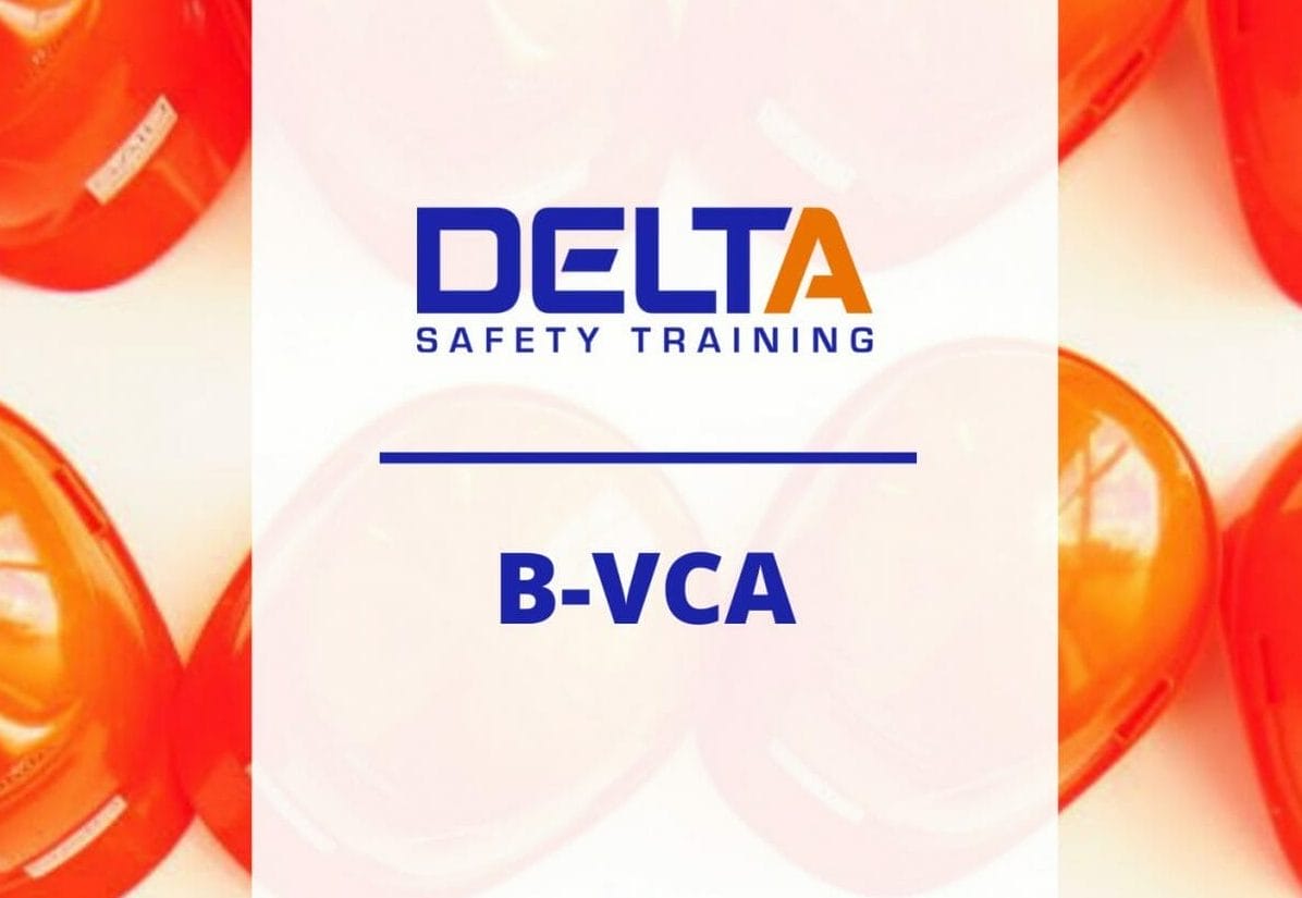 Basic safety VCA exam Vietnamese available DELTA Safety Training